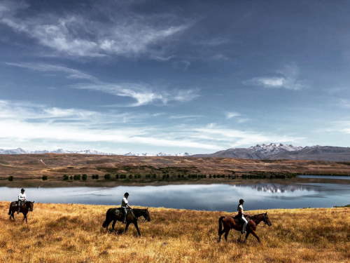 Horse Riding activities to See and Do in New Zealand